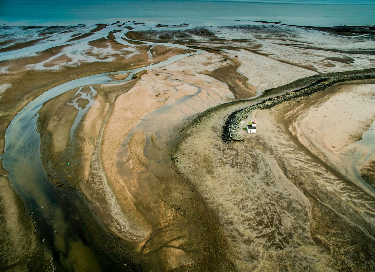 Understanding the Complex Biodiversity of Tidal Pools